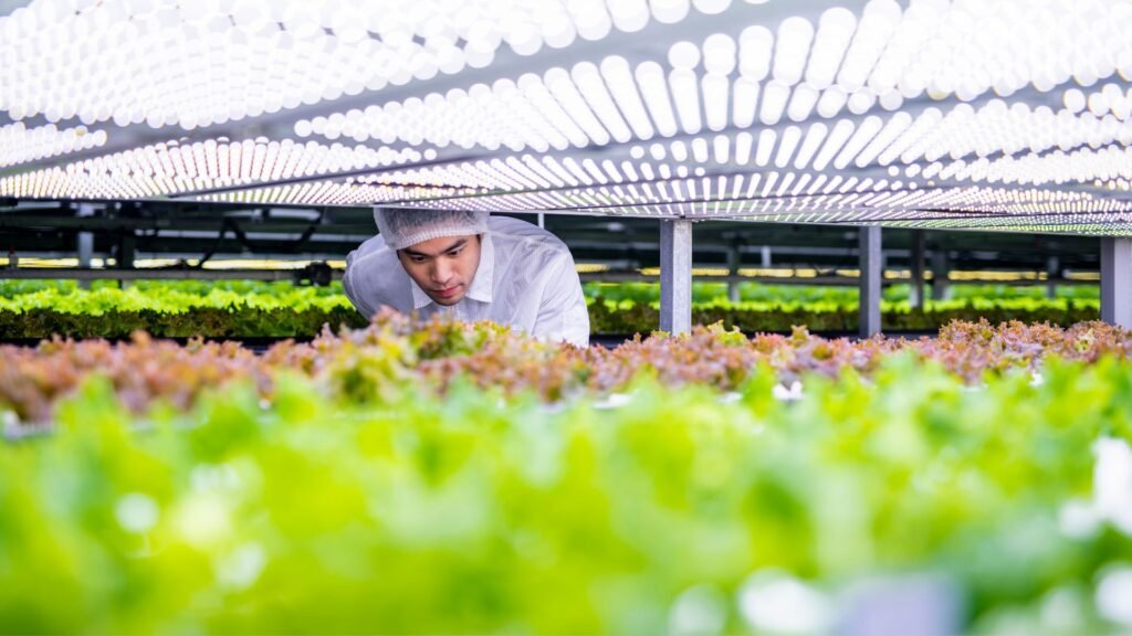 Bioeconomy of Agriculture and Agrotechnology