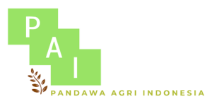 Logo PAI background Transparant (2) - Afifa Urfani 1