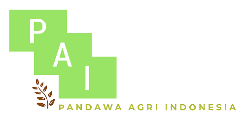 Logo PAI background Transparant (2) - Afifa Urfani 1