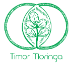 Timor Moringa
